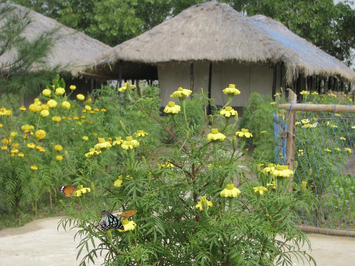 Estuarine Village Resort Sātabhāya Exteriör bild